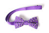Phenom Bow Tie
